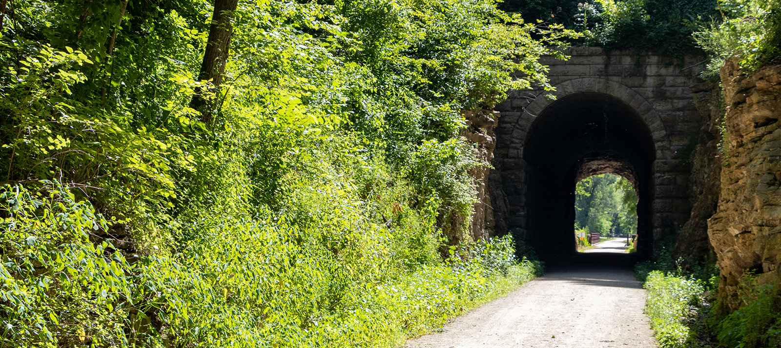 Eye Doctor in Katy TX